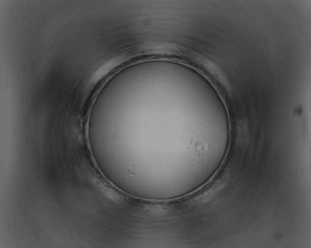 X0000093590970200710221520