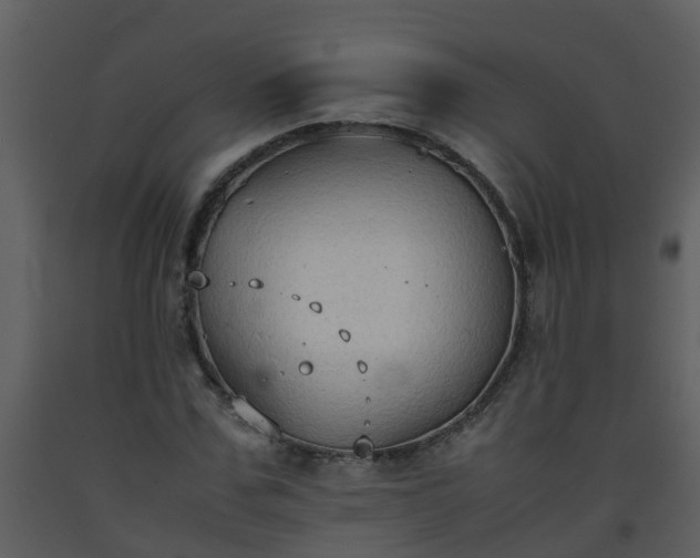 X0000093590971200710221520