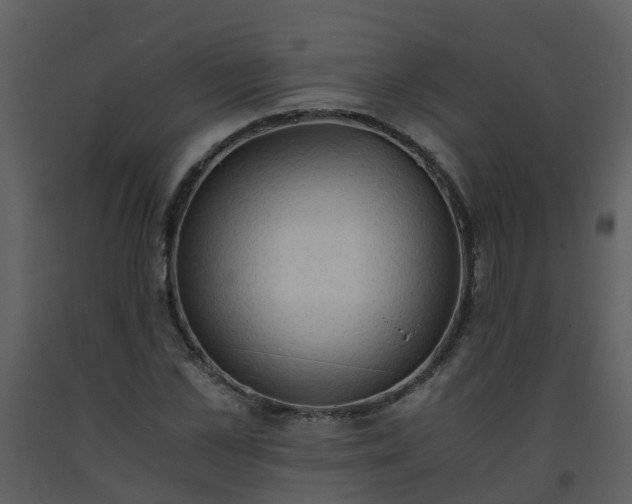 X0000093590973200710221520