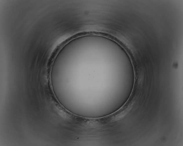 X0000093590974200710221520