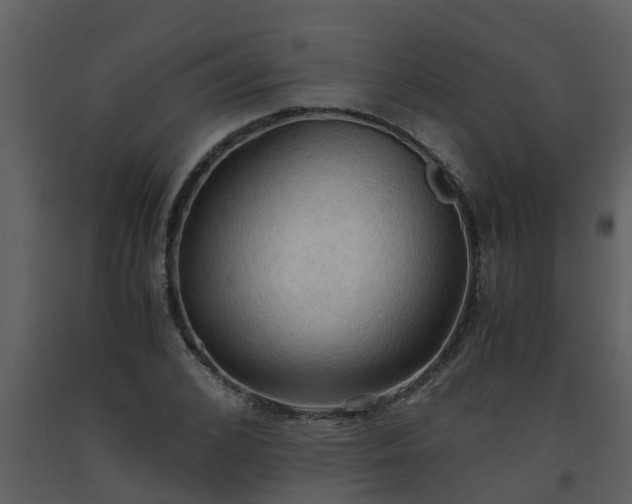 X0000093590976200710221520