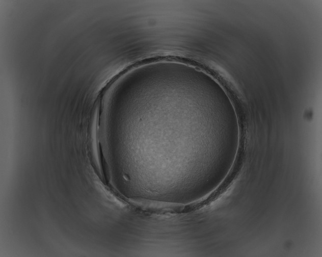 X0000093590977200710221520