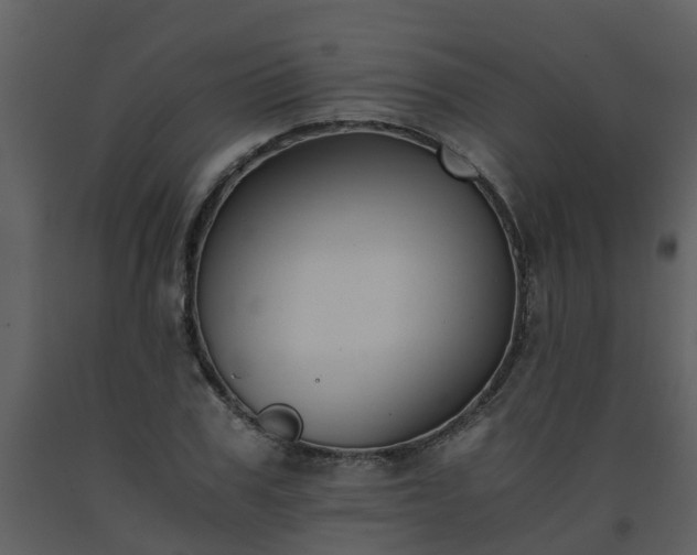 X0000093590979200710221520