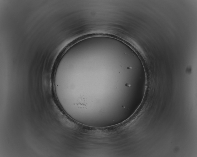 X0000093590980200710221520