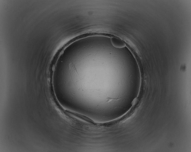 X0000093590981200710221520
