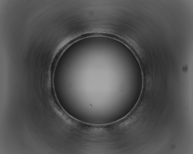 X0000093590982200710221520