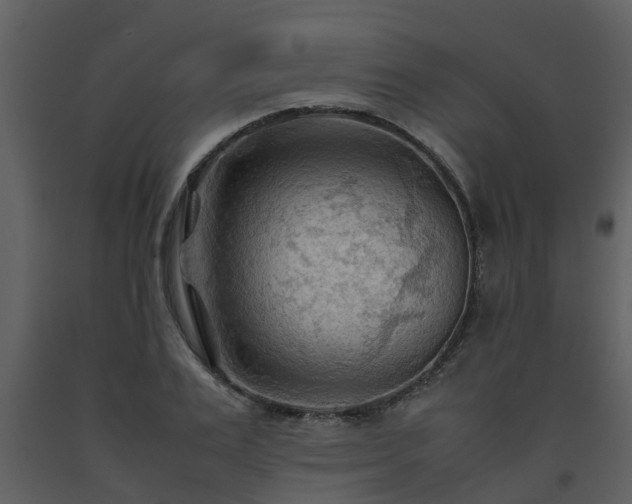 X0000093590983200710221520