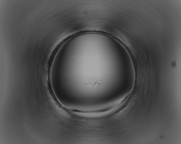 X0000093590984200710221520