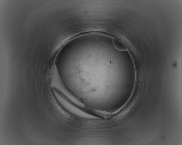 X0000093590985200710221520