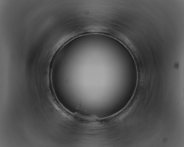 X0000093590986200710221520