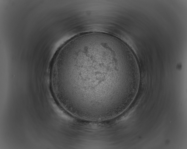 X0000093590987200710221520