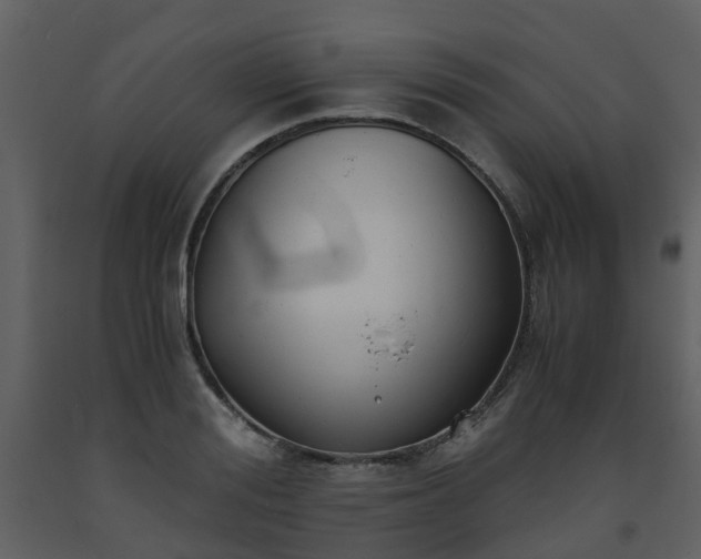 X0000093590988200710221520