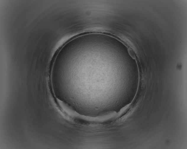 X0000093590989200710221520