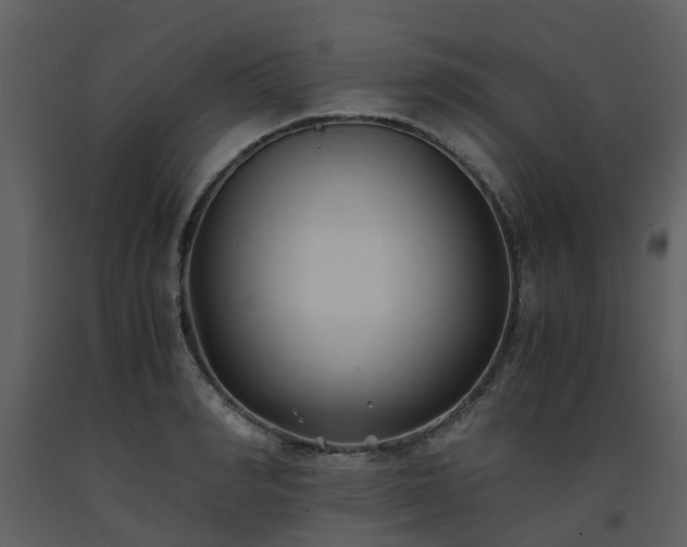 X0000093590990200710221520