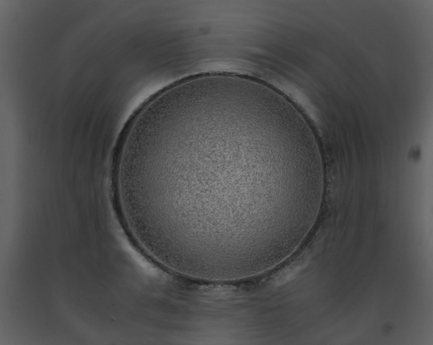 X0000093590991200710221520