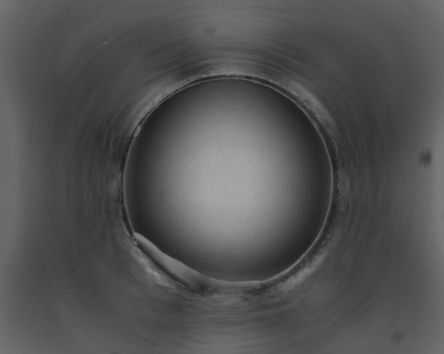 X0000093590993200710221520