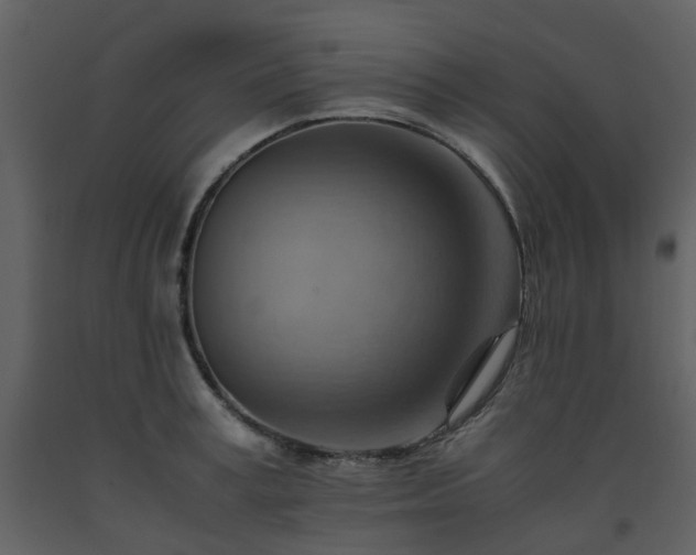 X0000093590995200710221520