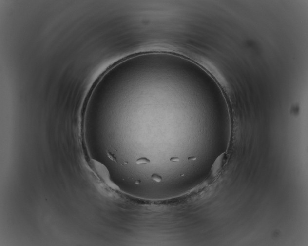 X0000093590996200710221519