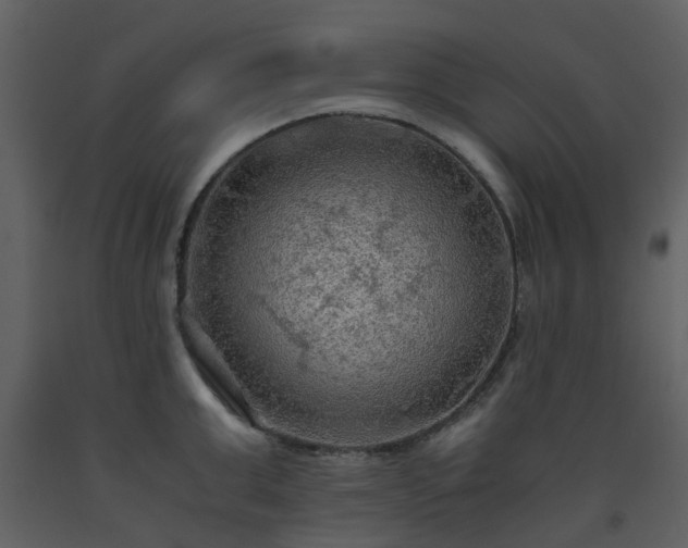 X0000093590999200710221519