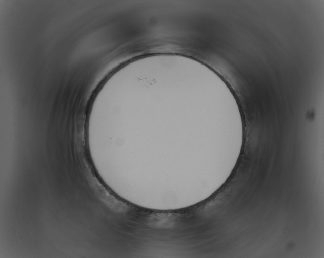 X0000093591000200710221519