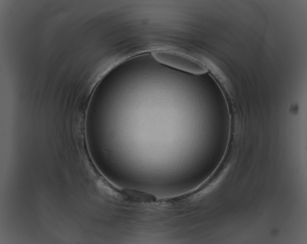 X0000093591001200710221519