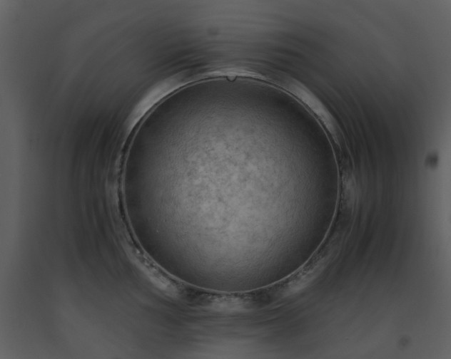 X0000093591002200710221519