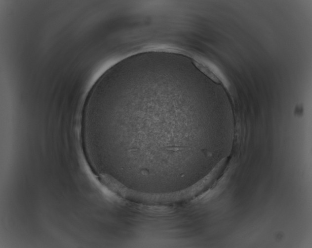 X0000093591007200710221519