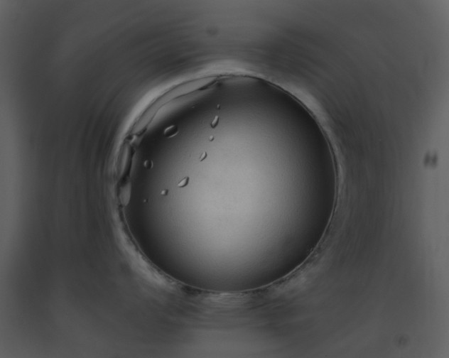 X0000093591008200710221519
