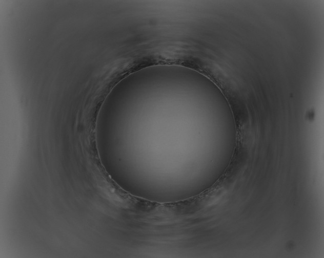 X0000093591009200710221519