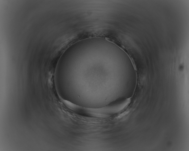 X0000093591010200710221519