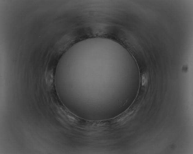 X0000093591011200710221519
