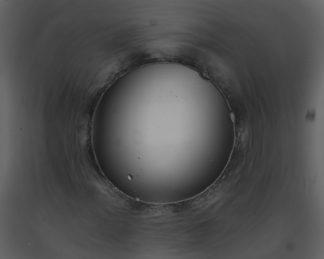 X0000093591012200710221519