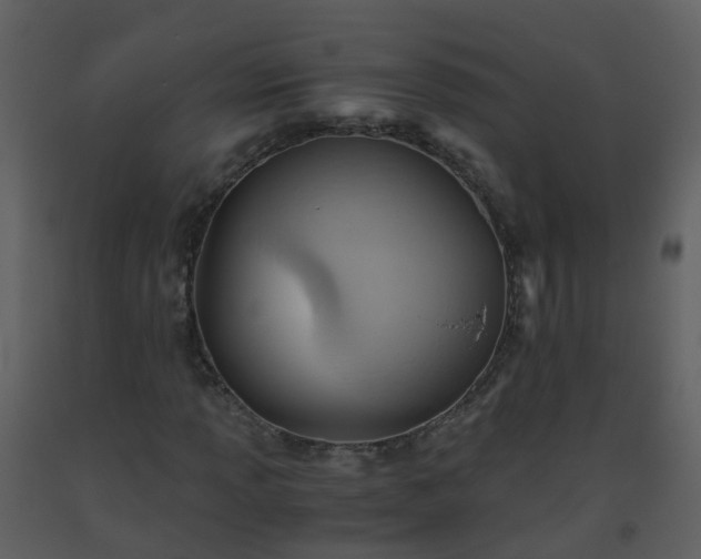 X0000093591013200710221519