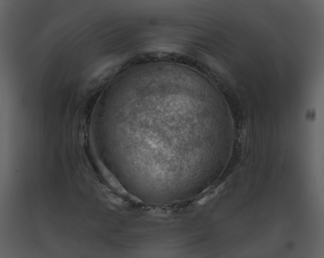 X0000093591014200710221519
