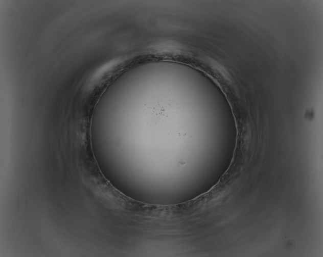 X0000093591016200710221519