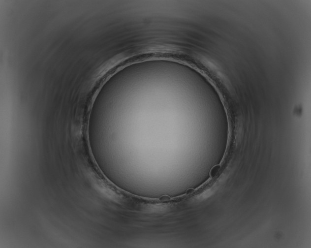X0000093591017200710221519