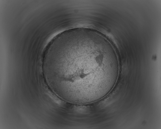 X0000093591019200710221519