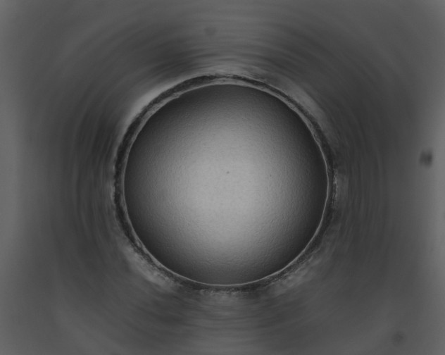 X0000093591020200710221519