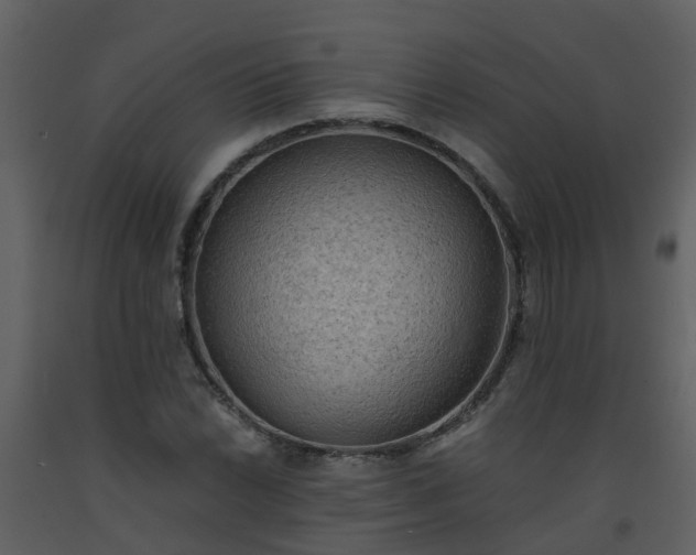 X0000093591022200710221519
