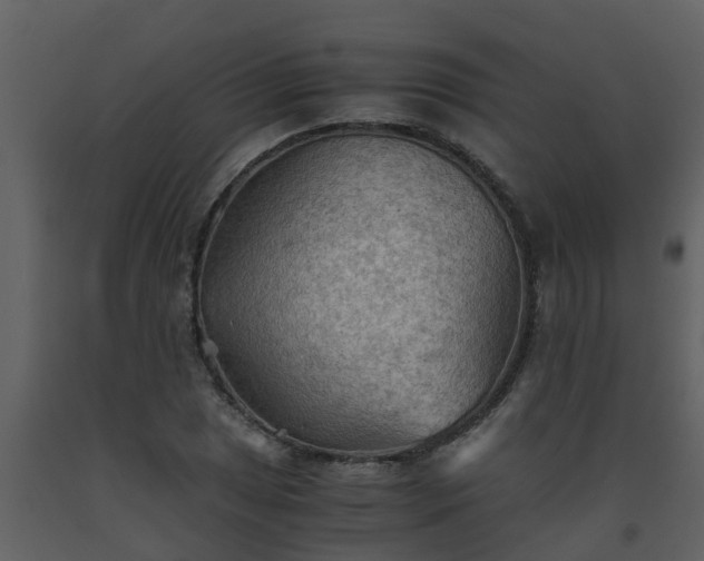 X0000093591025200710221519