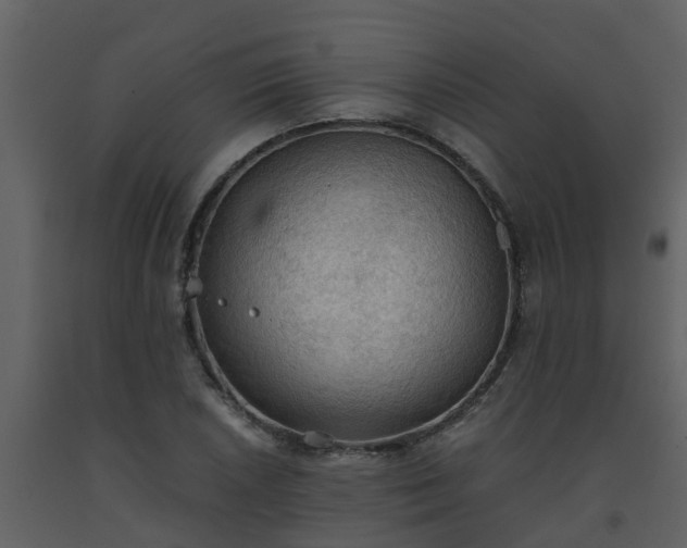 X0000093591026200710221519