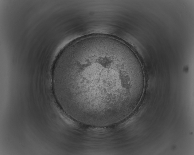 X0000093591027200710221519