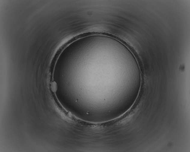 X0000093591029200710221519