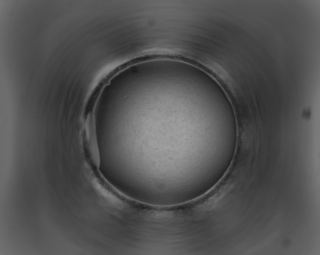 X0000093591030200710221519
