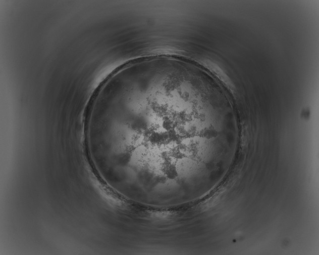 X0000093591031200710221519
