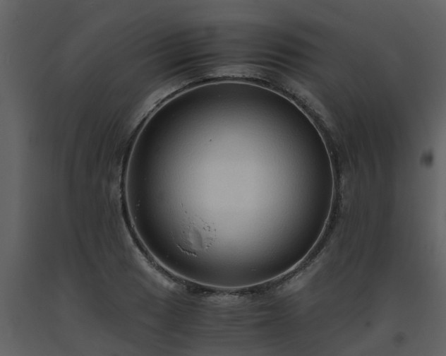 X0000093591033200710221519