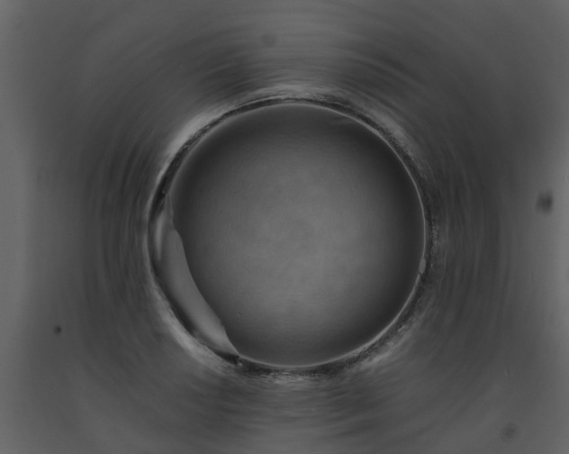 X0000093591034200710221519