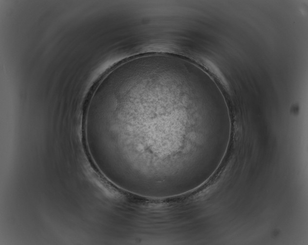 X0000093591035200710221519