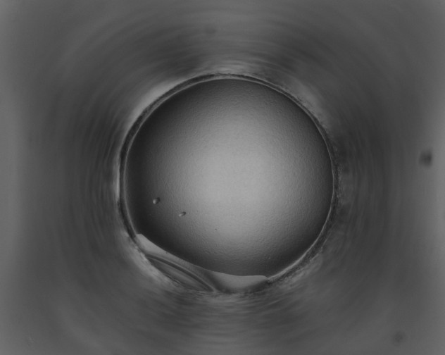 X0000093591036200710221519