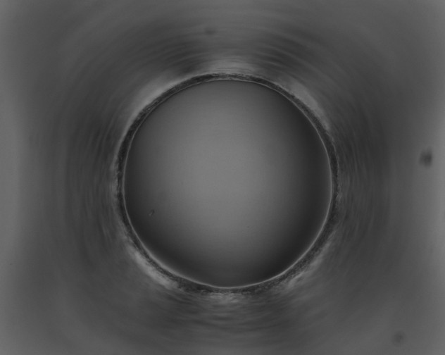 X0000093591037200710221519